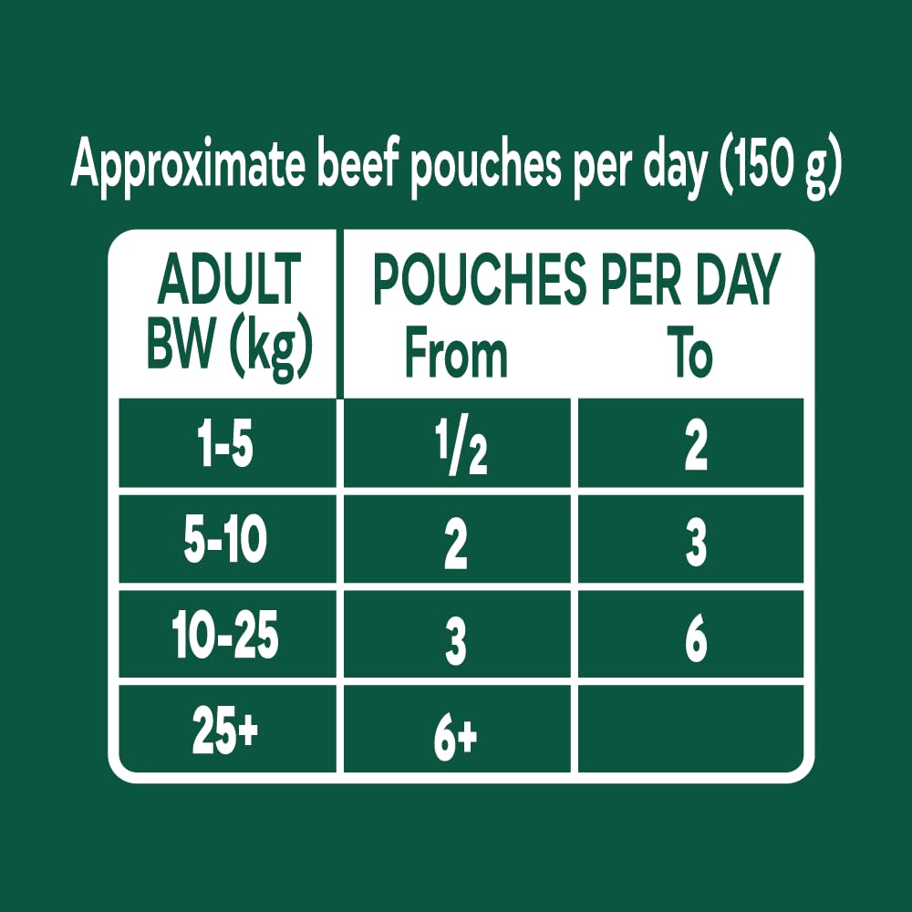 Country Hunter Natures Menu Natures Menu Superfood Selection Pouches for Dogs (12x 150 g) 