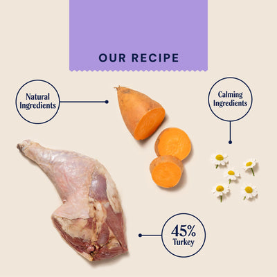 Pooch & Mutt - Calm & Relaxed Complete Dry Dog Food Grain Free (Regular Sized Kibble), for Calming Hyperactive or Anxious Dogs, Turkey and Sweet Potato, 10kg (packaging may vary) 