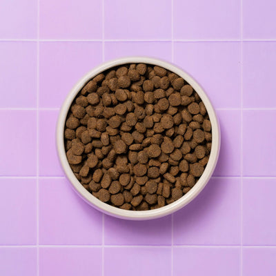 Pooch & Mutt - Calm & Relaxed Complete Dry Dog Food Grain Free (Regular Sized Kibble), for Calming Hyperactive or Anxious Dogs, Turkey and Sweet Potato, 10kg (packaging may vary) 