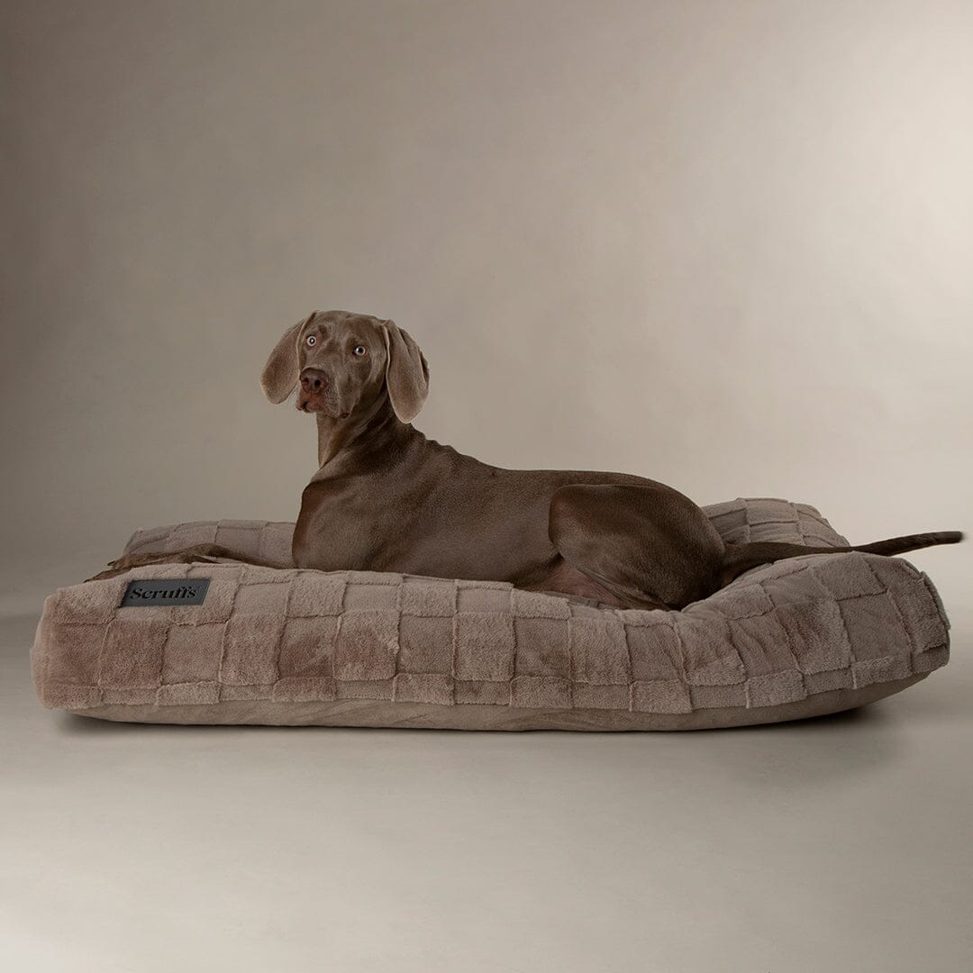 Dog Bed-Oxford Orthopaedic Dog Mattress 