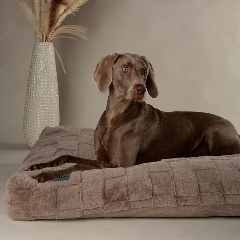 Dog Bed-Oxford Orthopaedic Dog Mattress 
