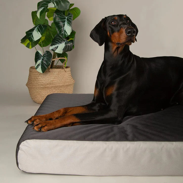 ArmourDillo Orthopaedic Dog Bed