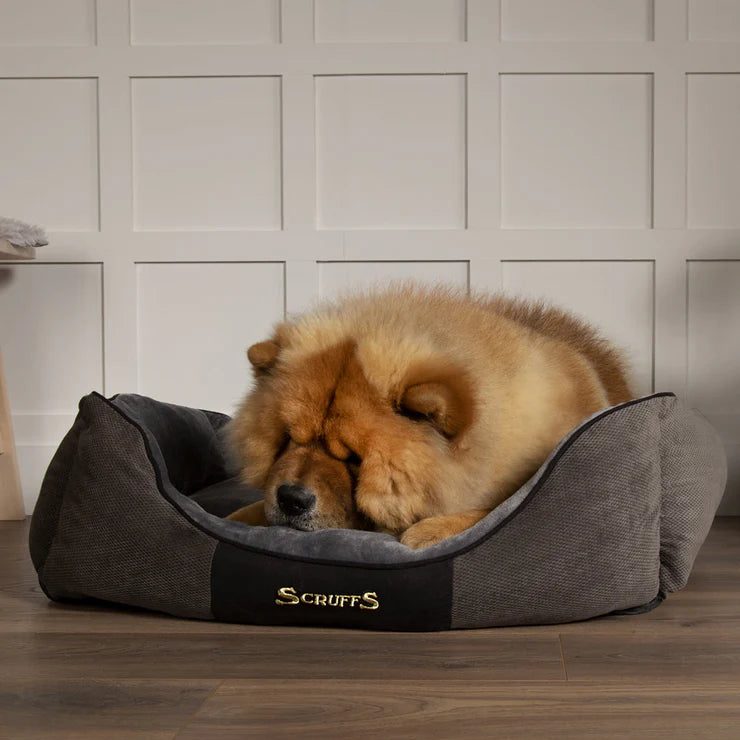 Chester Dog Bed | Box Bed for Dogs