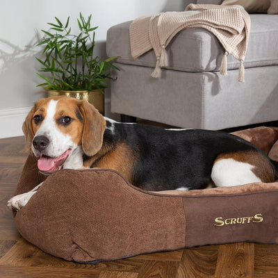 Chester Dog Bed | Box Bed for Dogs
