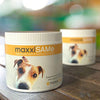 Maxxipaws maxxiSAMe Advanced SAM-e Liver and Cognitive Supplement for Dogs Given with Food - Powder 150g - Petzenya