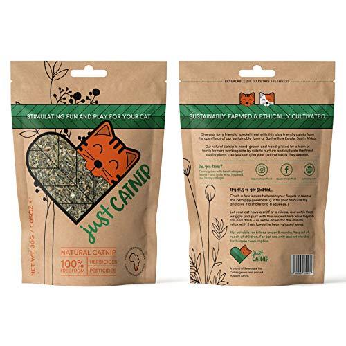Just Catnip - Natural Catnip for Cats - 100% Natural - Sustainably Grown in South Africa - Ethically Made Cat Toy & Cat Treat - Maximum Potency Your Kitty Will Go Crazy For - Petzenya