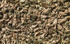 Kitten Friendly Cat Litter - Petzenya