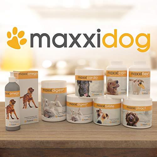 Maxxipaws maxxiSAMe Advanced SAM-e Liver and Cognitive Supplement for Dogs Given with Food - Powder 150g - Petzenya