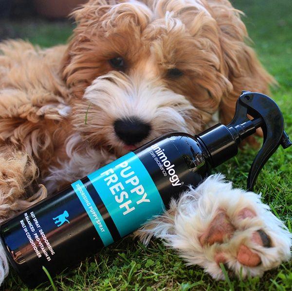 Puppy Fresh Dog Deodorant Spray 250ml - Petzenya
