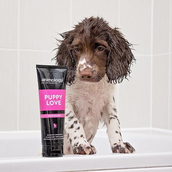 Puppy Love Puppy Shampoo 250ml - Petzenya