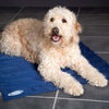 Dog Cooling Mat - Blue - Petzenya