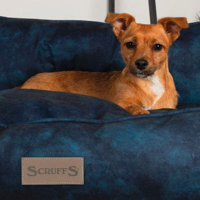 Kensington Box Bed - Dog Bed - Luxury, comfy and stylish Box Bed for Dogs - Petzenya