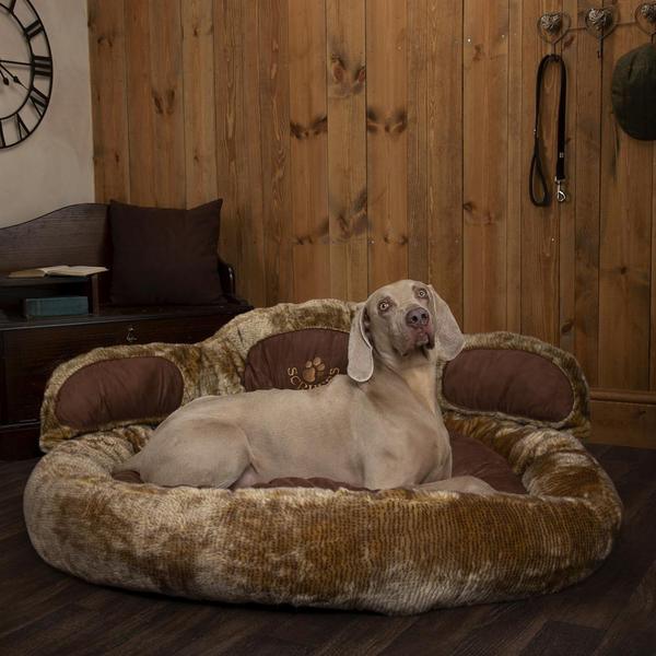 Teddy Bear Cushion Paw Bed for Dog & Cats - Petzenya