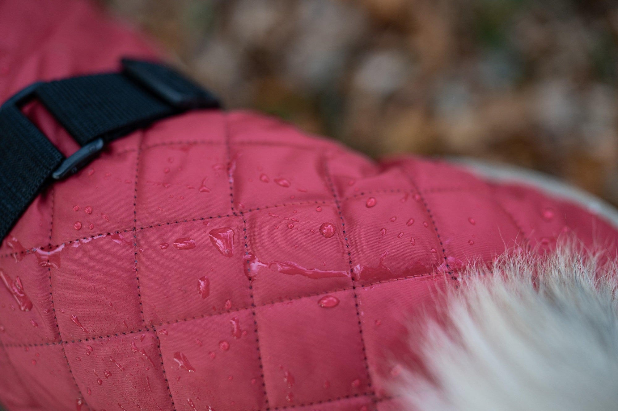 Quilted Dog Coat - Padded Outdoor Dog Jacket - Small to Large Dogs - Petzenya