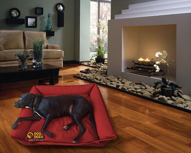 Waterproof Sofa Beds - Larger than average dog beds! - Petzenya
