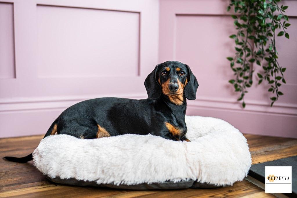 Oval Cushion Dog Bed | Gor Pets Nordic Cushion Bed-Grey/ Brown 21"- 40" - Petzenya