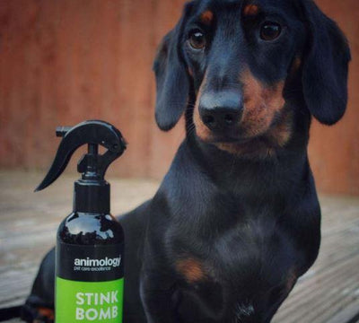 Stink Bomb Dog Deodorant Spray 250ml - Petzenya